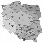 Śnieg na dachu: co powinien z nim zrobić przedsiębiorca? Ergo Hestia rekomenduje.