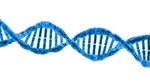 Poznaj DNA brandu!