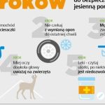 Kiedy jesień zaskakuje kierowców…