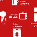 Światowy Dzień Obniżania Kosztów Energii. Jak to robią Polacy?