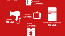 Światowy Dzień Obniżania Kosztów Energii. Jak to robią Polacy?