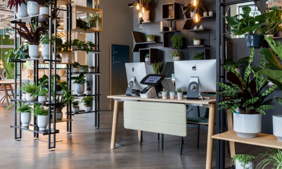 Biophilic design, czyli zieleń w przestrzeni biurowej