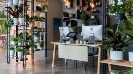 Biophilic design, czyli zieleń w przestrzeni biurowej Praca, BIZNES - Otoczenie, w którym pracujemy, ma ogromny wpływ na naszą wydajność, efektywność i motywację. Planując wystrój wnętrz warto postawić na biophilic design, skupiający się na budowaniu uczucia więzi z naturą. Dlaczego zieleń w przestrzeni biurowej jest tak istotna?