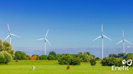Enefit Green 3,5 razy zwiększył wolumen energii wytwarzanej z OZE