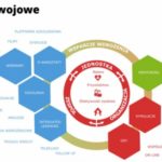 Zdalne formy rozwojowe – przyszłość szkoleń czy chwilowa konieczność?